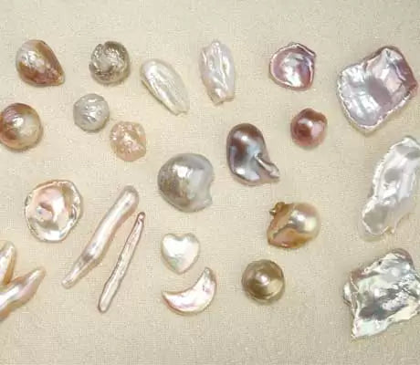 Collection of lustrous freshwater shells and pearls