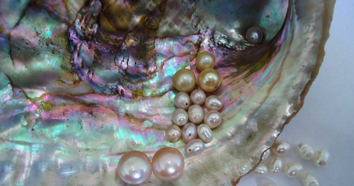 Iridescent oyster shell filled with various pearls