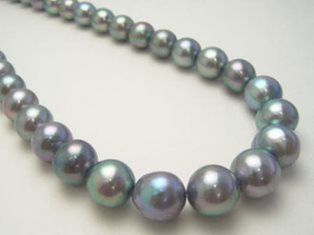 Black Tahitian Cultured Pearls